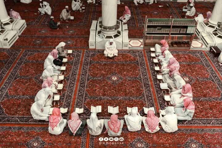 المستوى الأول